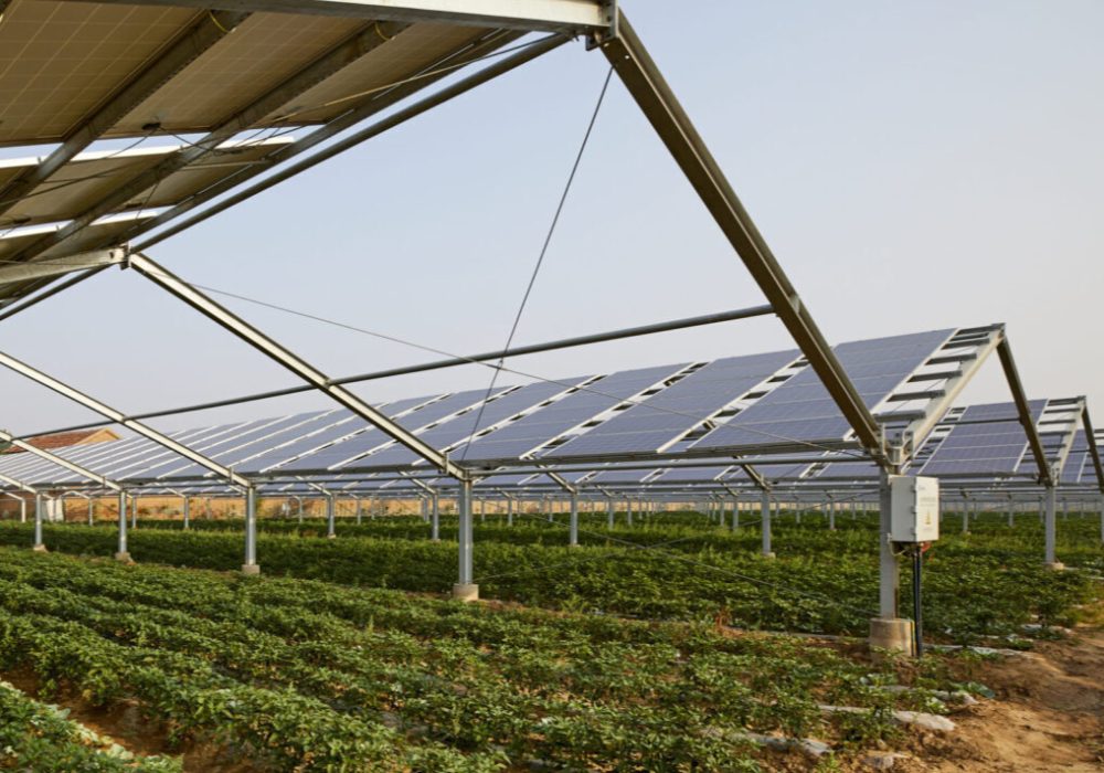 agrivoltaico